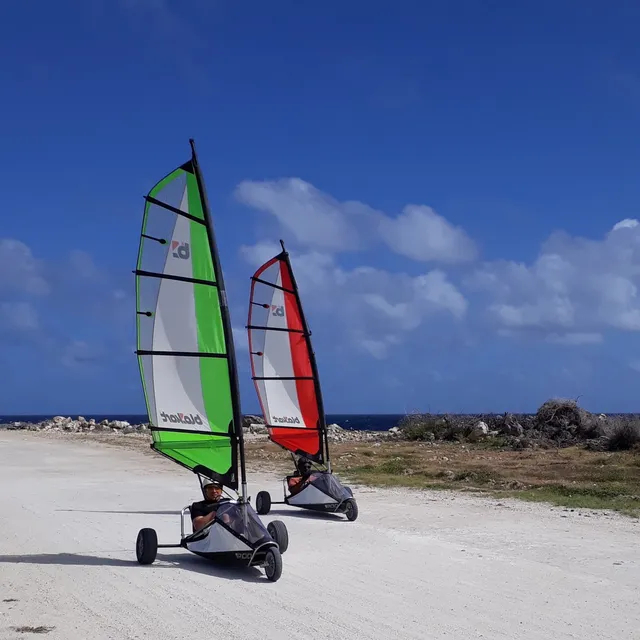 Bonaire Island Activities