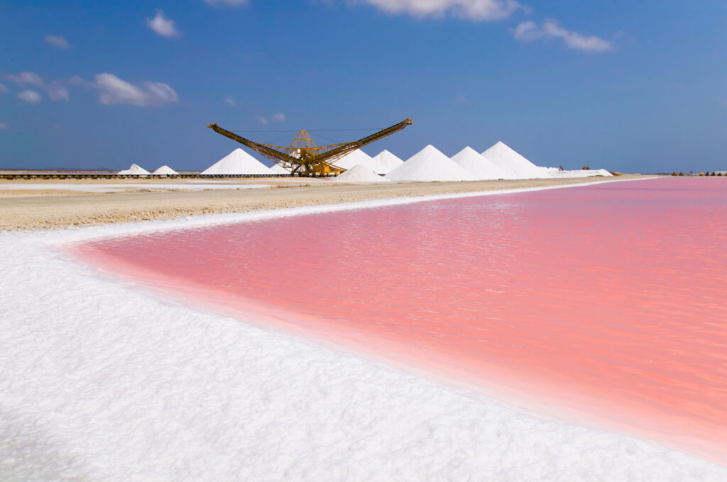 About Bonaire Island: the Salt Flats