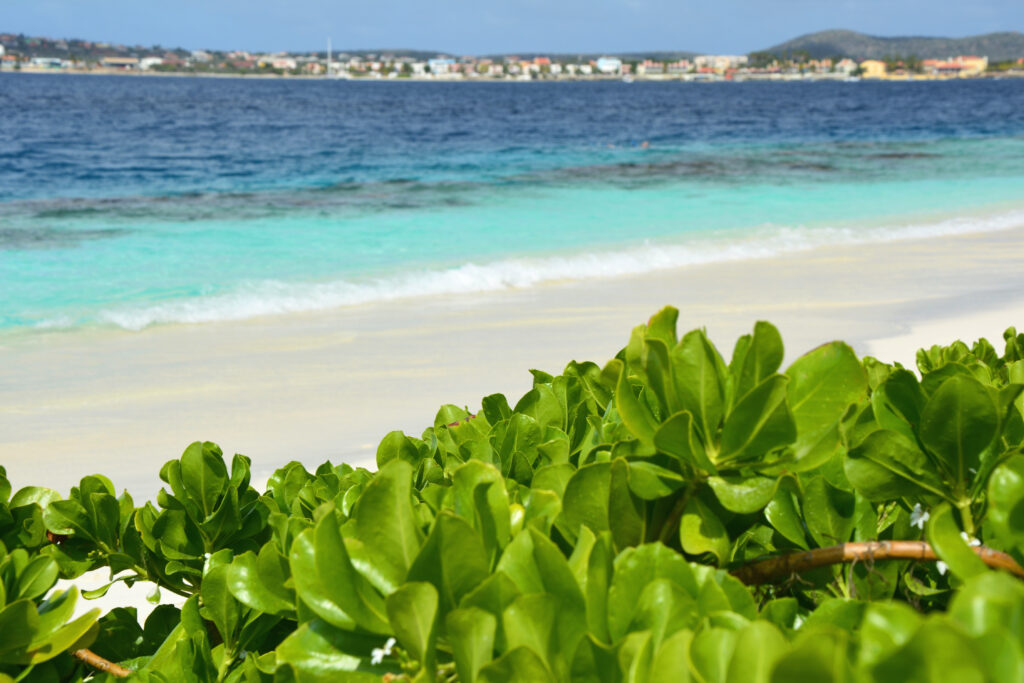 No Name Beach at the Klein Bonaire island